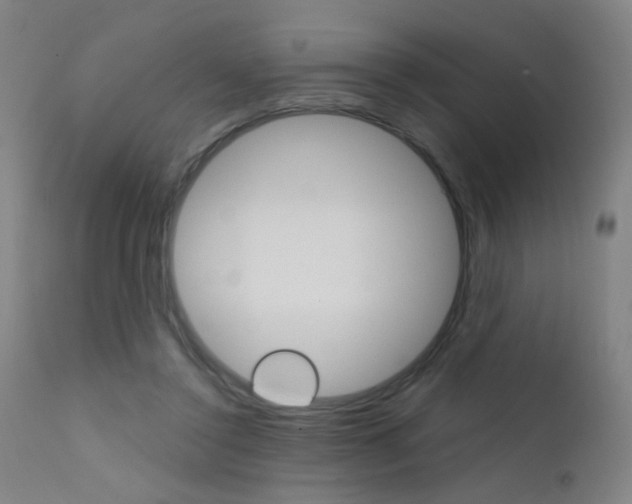 X0000111610356200907171045