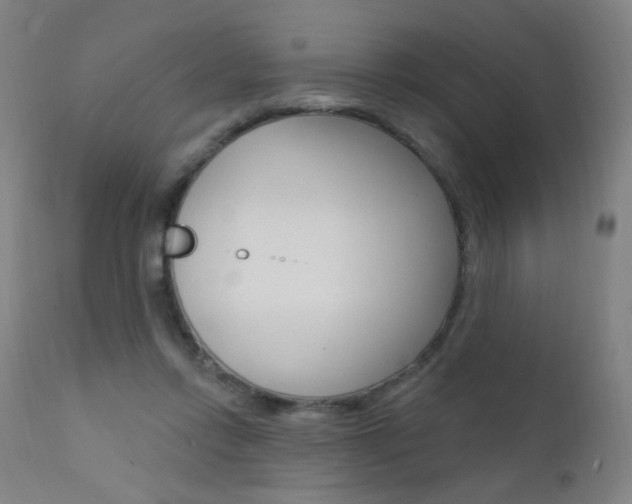 X0000111610358200907171045
