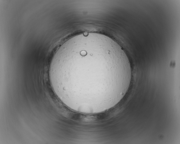 X0000111610359200907171045