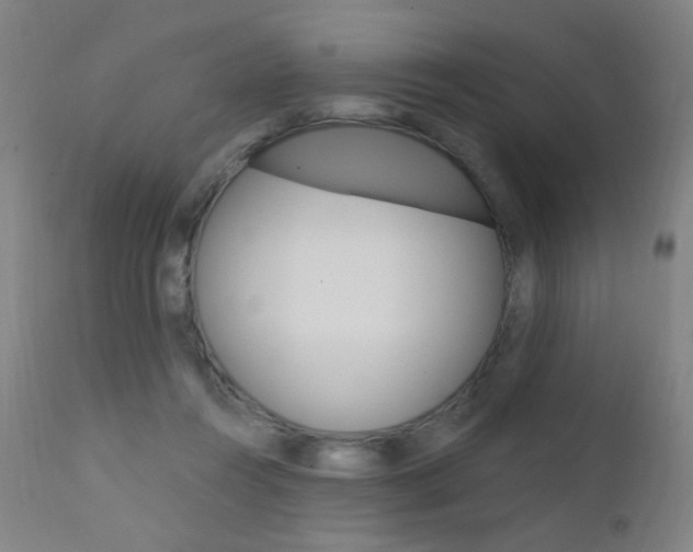 X0000111610360200907171045