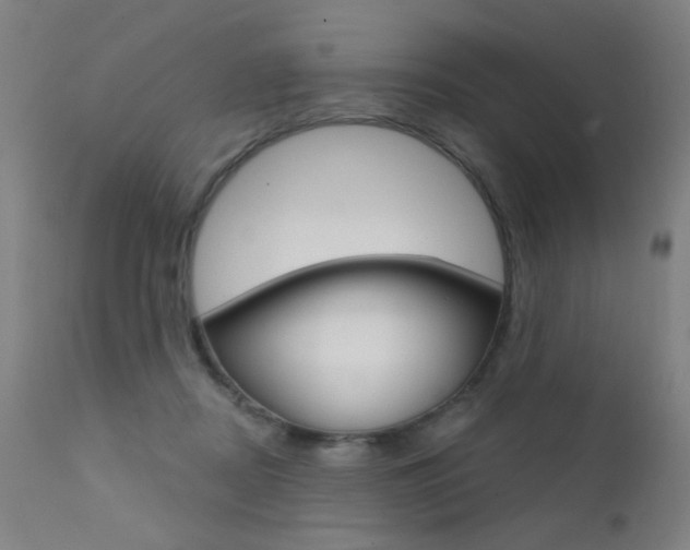 X0000111610362200907171045