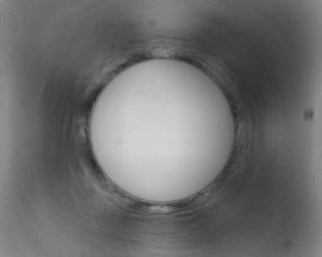 X0000111610363200907171045