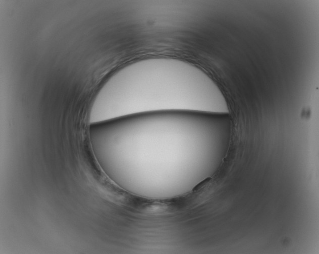 X0000111610364200907171045
