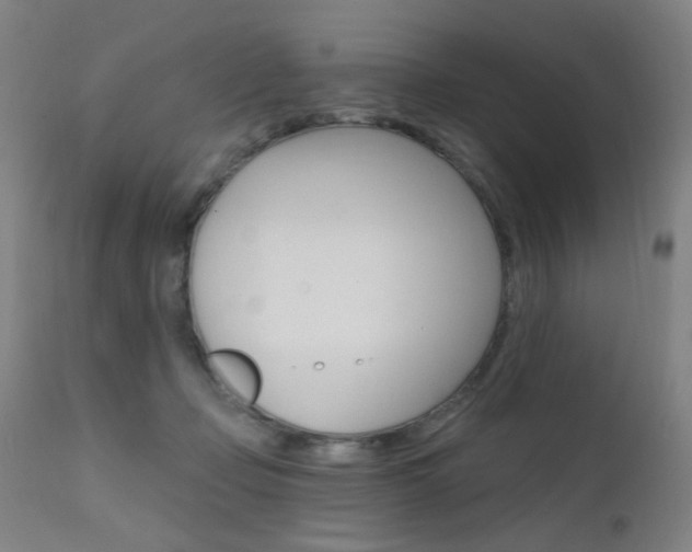 X0000111610365200907171045