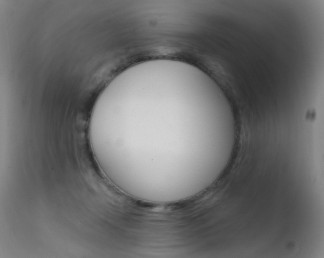 X0000111610366200907171045
