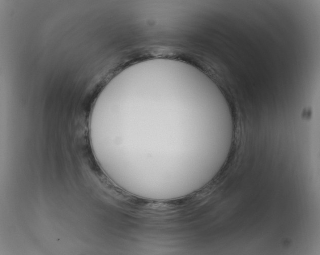 X0000111610367200907171045