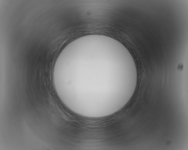 X0000111610368200907171045