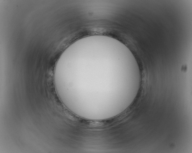 X0000111610369200907171045