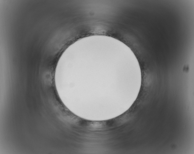 X0000111610370200907171045