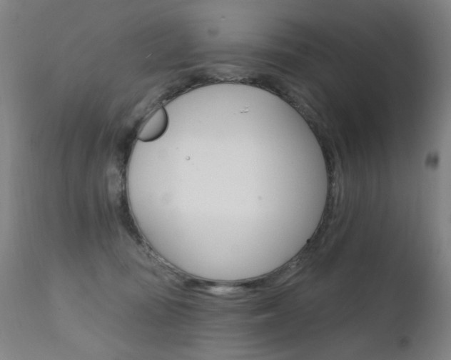 X0000111610371200907171045