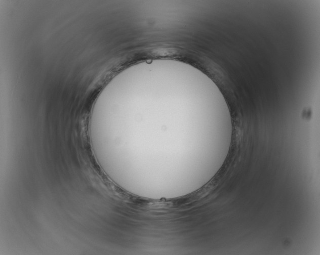X0000111610373200907171045