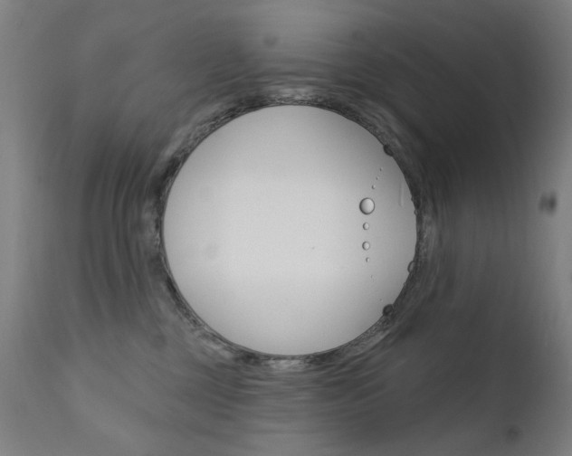 X0000111610377200907171045