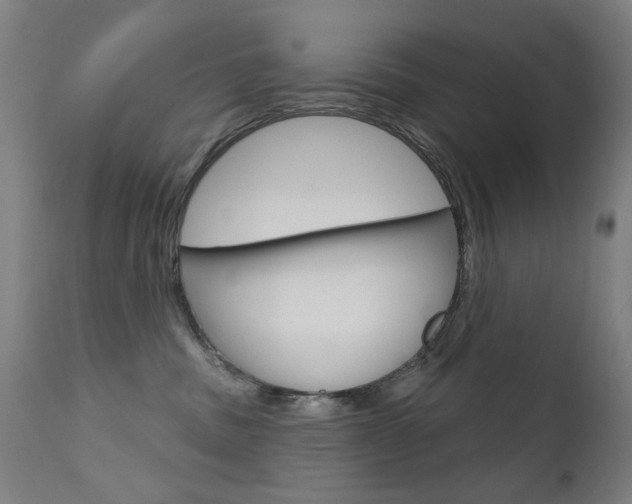 X0000111610379200907171045
