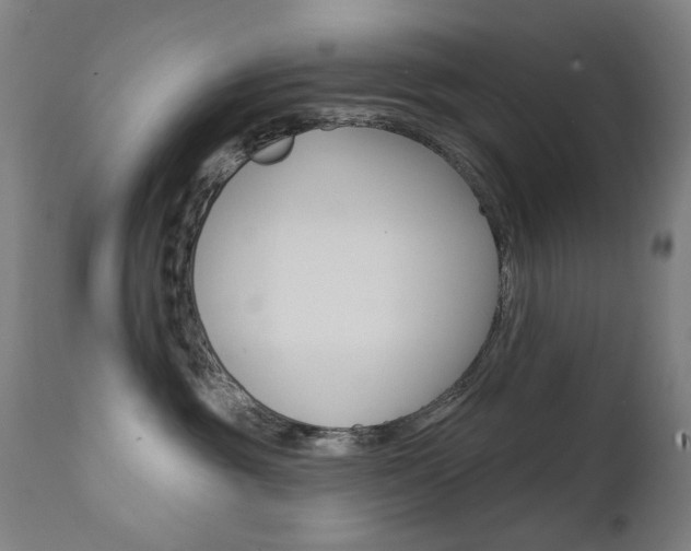 X0000111610381200907171045