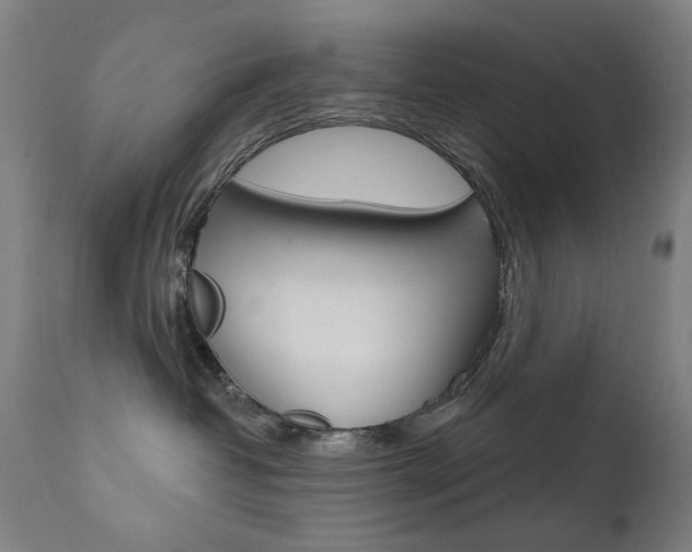 X0000111610382200907171045