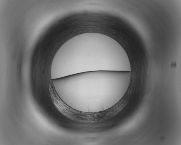 X0000111610383200907171045