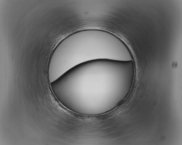 X0000111610385200907171044