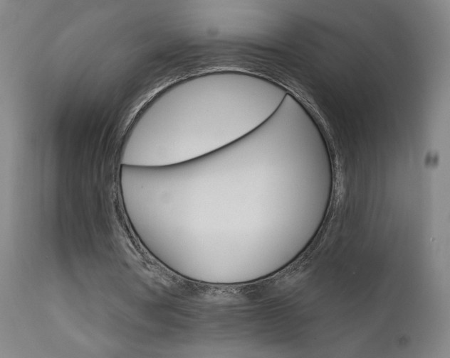 X0000111610386200907171044