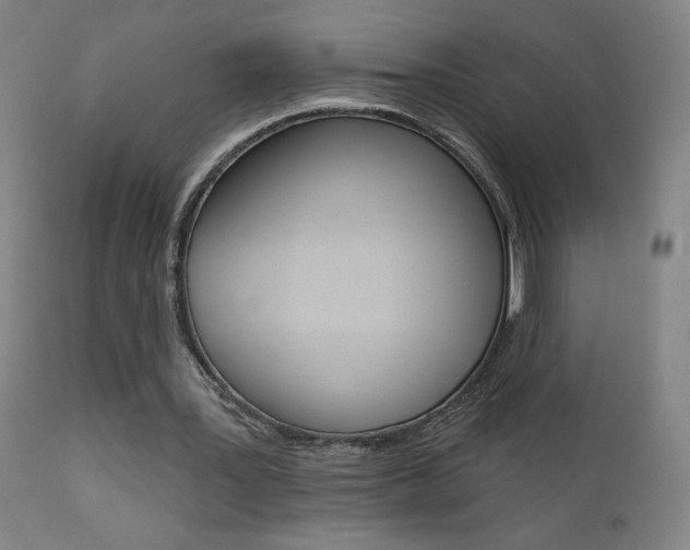 X0000111610387200907171044