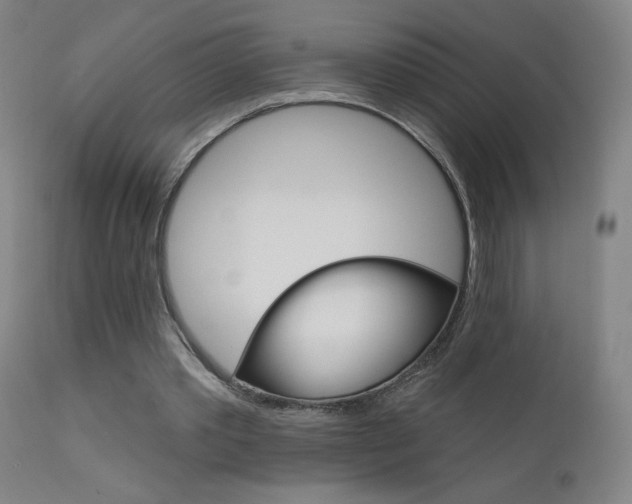 X0000111610389200907171044