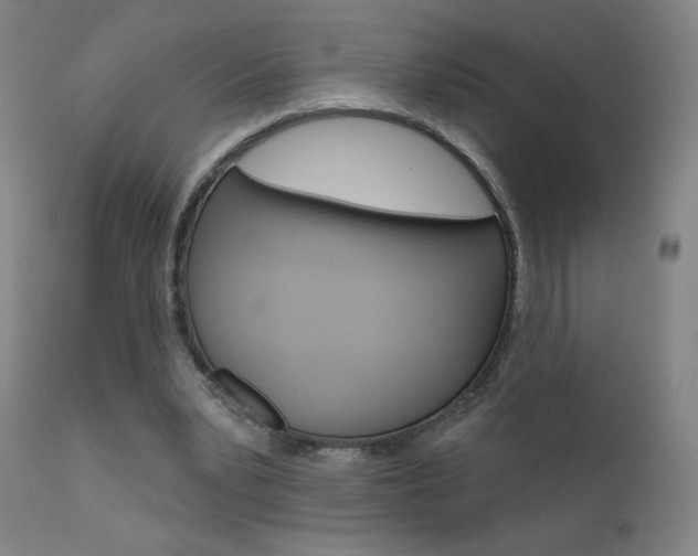 X0000111610391200907171044
