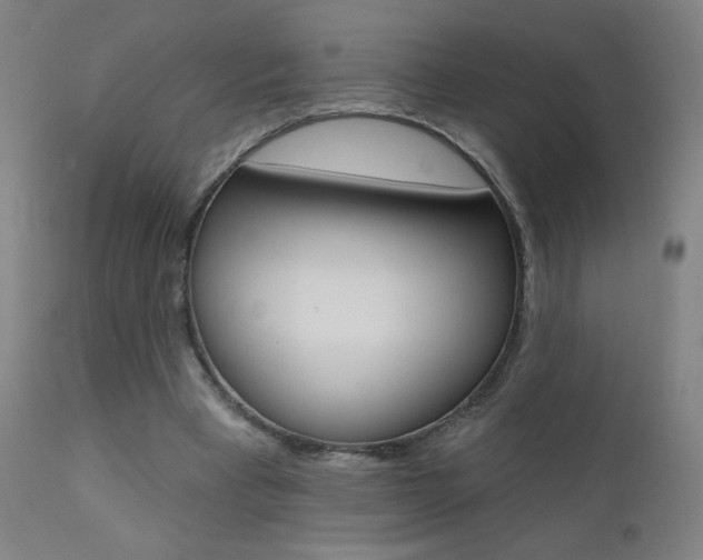 X0000111610393200907171044