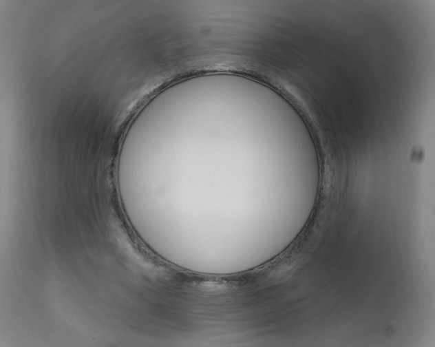 X0000111610394200907171044