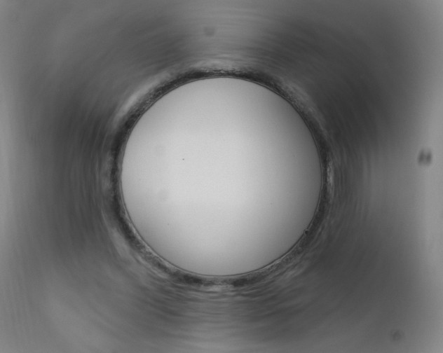 X0000111610396200907171044