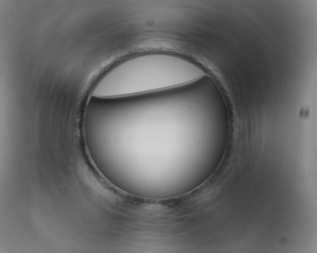 X0000111610399200907171044