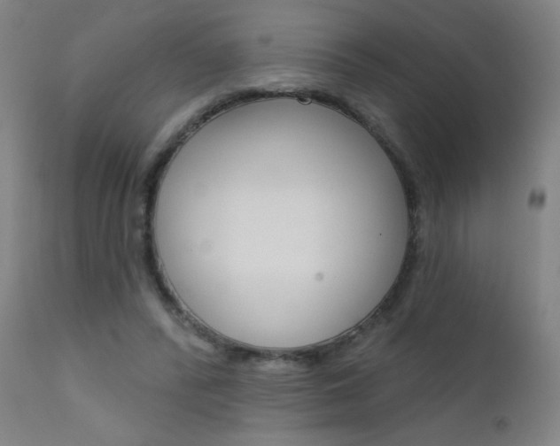 X0000111610400200907171044