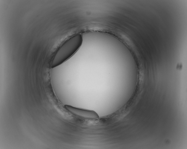 X0000111610401200907171044