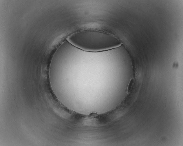 X0000111610403200907171044