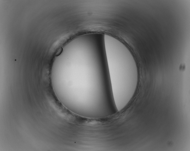 X0000111610407200907171044