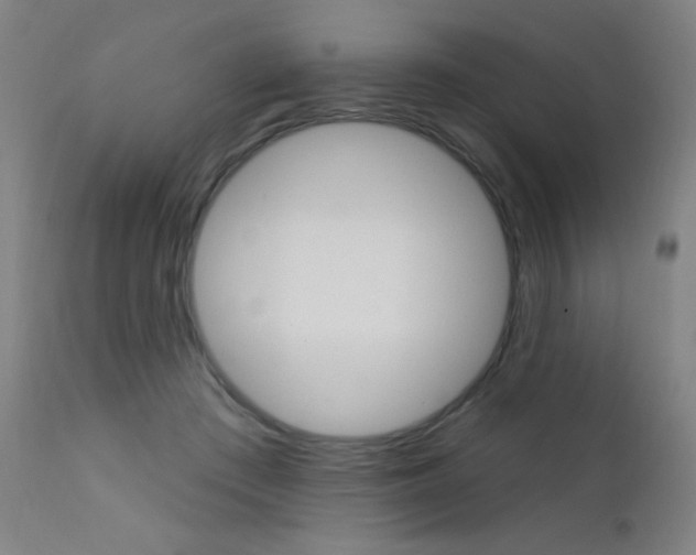 X0000111610409200907171044