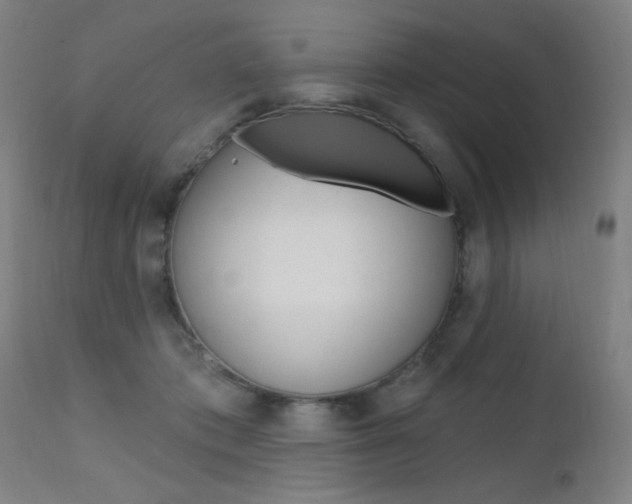 X0000111610413200907171044