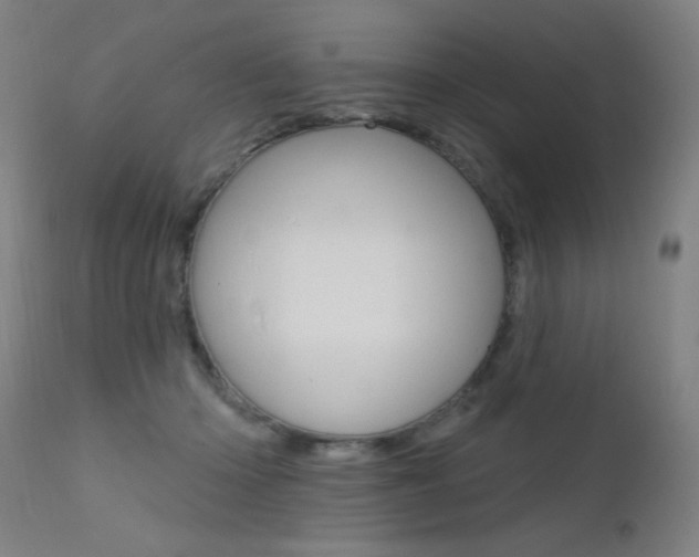 X0000111610414200907171044