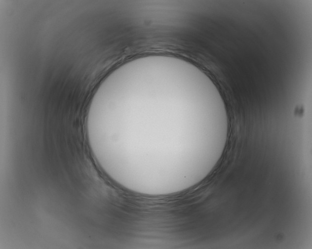 X0000111610415200907171044