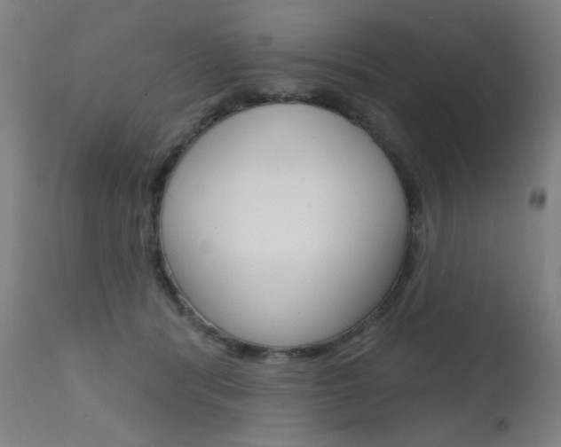 X0000111610416200907171044