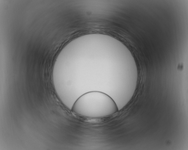 X0000111610417200907171044