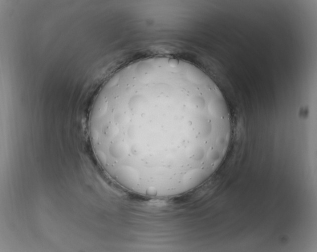 X0000111610418200907171044
