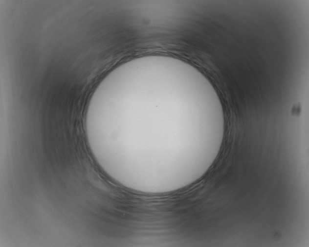 X0000111610419200907171044