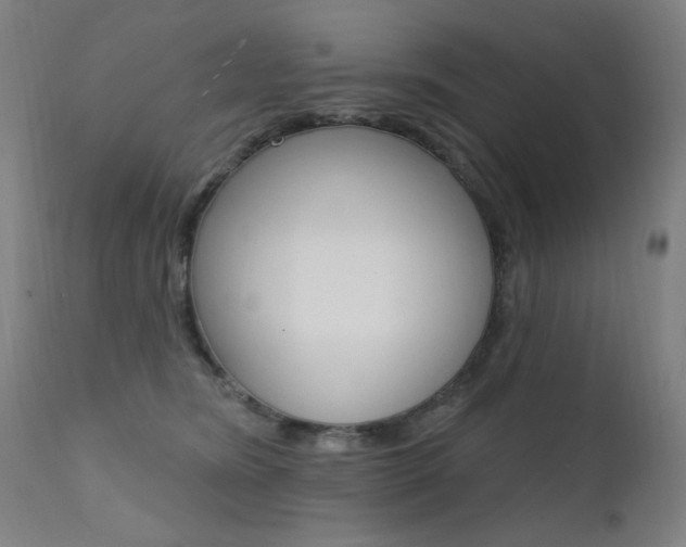 X0000111610420200907171044