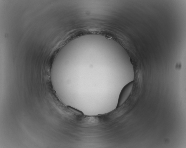 X0000111610421200907171044