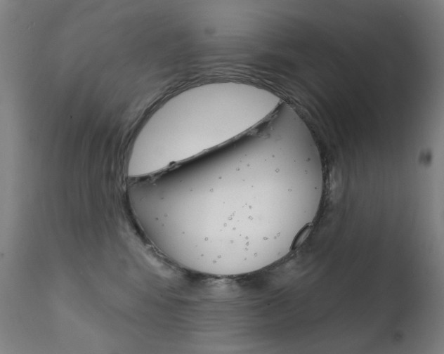X0000111610424200907171044