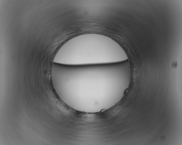 X0000111610428200907171044