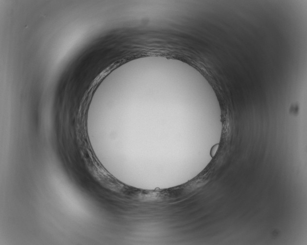 X0000111610430200907171044