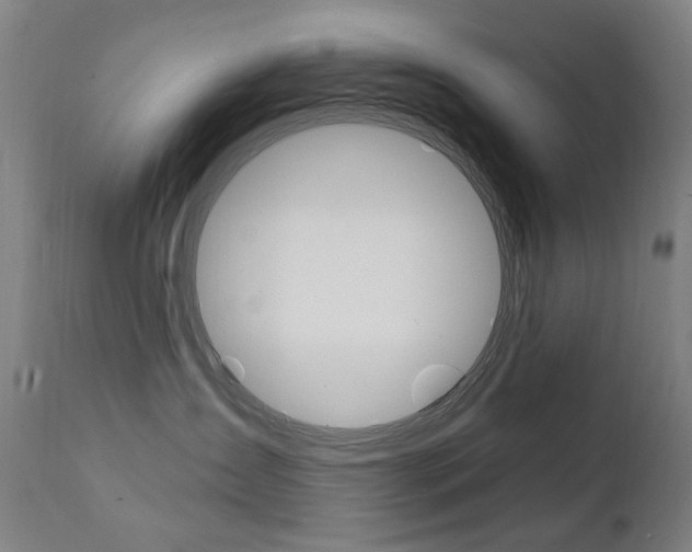 X0000111610431200907171044