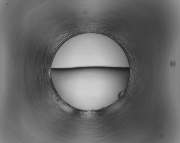 X0000111610432200907171044