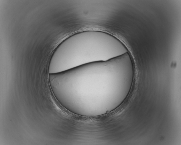 X0000111610433200907171043