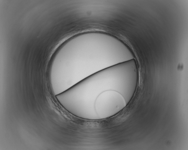 X0000111610435200907171043